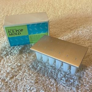 Ice Pop mold by Restoration Hardware